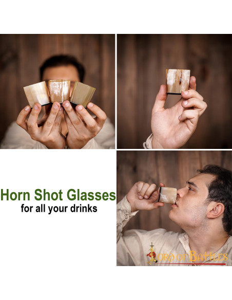 Lot de 3 verres à shooter Viking en...