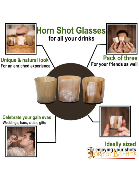 Lot de 3 verres à shooter Viking en...