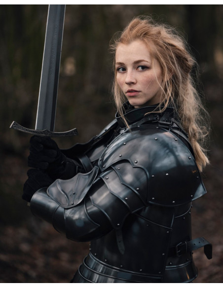 Armoiries médiévales modèle Ortwin,...