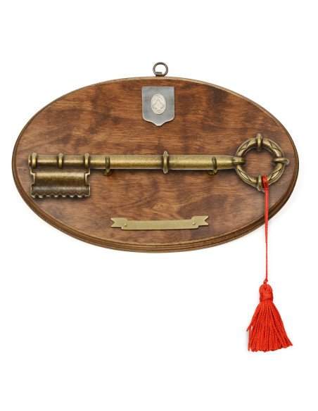 Panoplie avec la clé de la porte...