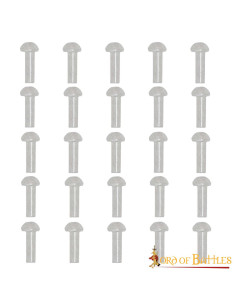 Paquet de 25 rivets en acier à tête champignon (16 mm)