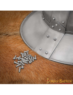 Paquet de 25 rivets en acier à tête champignon (16 mm) 2