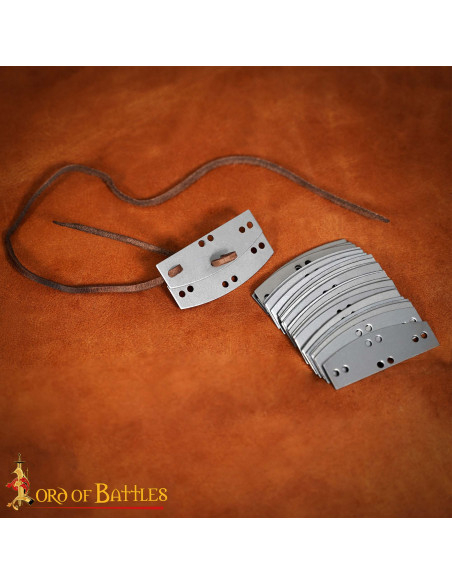 Pack de 100 plaques d'acier pour...