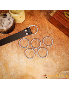 Pack de 5 anneaux en acier nickelé pour ceintures 2