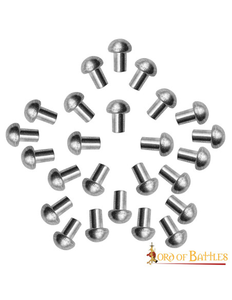 Pack de 100 rivets en acier à tête...