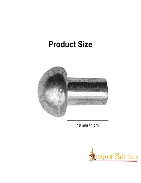 Pack de 100 rivets en acier à tête...