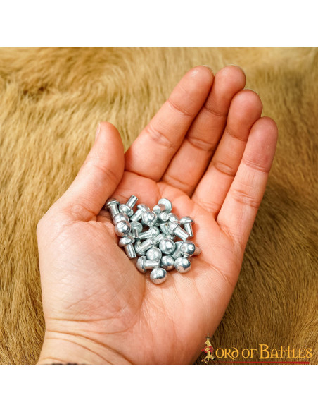 Pack de 100 rivets en acier à tête...