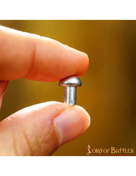 Pack de 100 rivets en acier à tête...