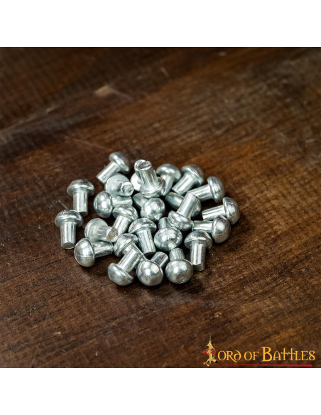 Pack de 100 rivets en acier à tête...