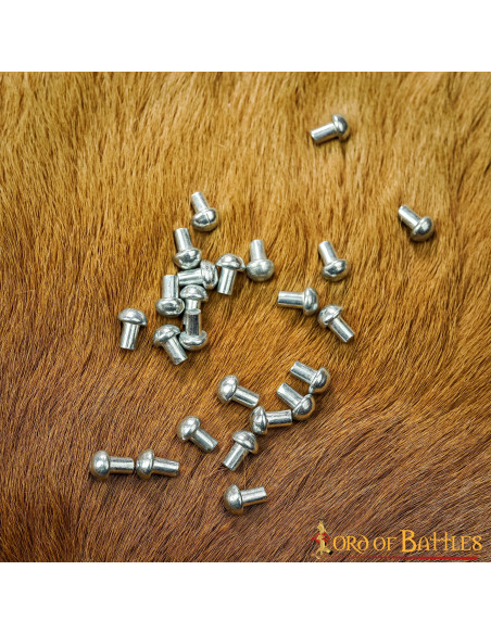Pack de 100 rivets en acier à tête...
