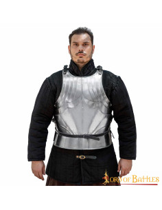 Cuirasse gothique médiévale en acier, finition polie. 2
