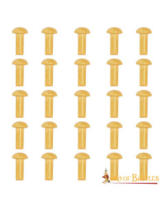 Paquet de 25 rivets en laiton à tête champignon (8 mm.)