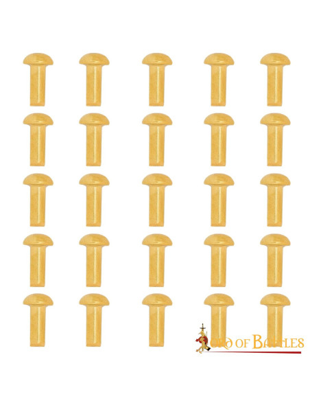 Paquet de 25 rivets en laiton à tête...