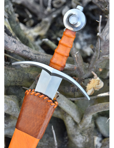 Armement d'épée Comte de Nieuwerkerke...