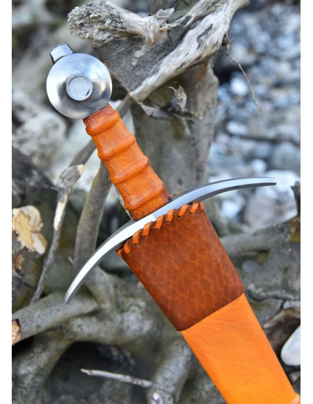 Armement d'épée Comte de Nieuwerkerke...