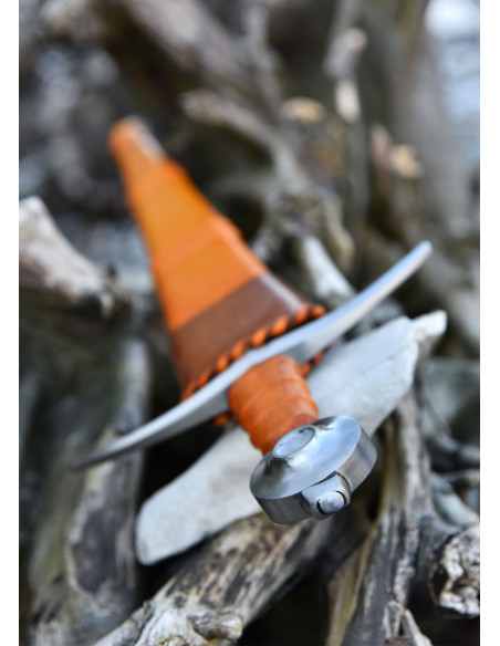 Armement d'épée Comte de Nieuwerkerke...
