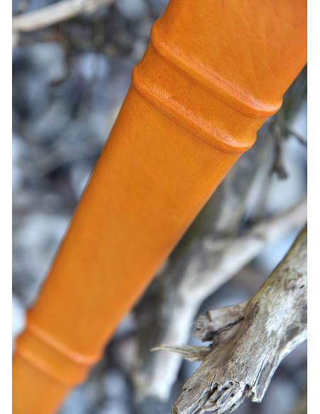 Armement d'épée Comte de Nieuwerkerke...