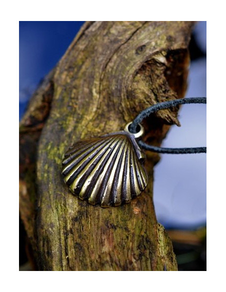 Pendentif coquille de pèlerin...