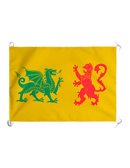 Bannière médiévale de la dynastie...