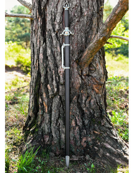 Épée de Tai Chi pour la pratique