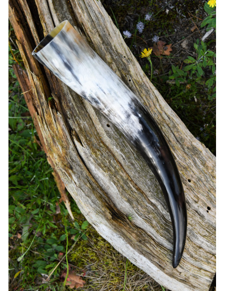 Corne à boire naturelle (400 ml.)