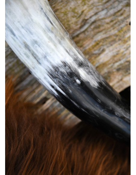 Corne à boire naturelle (400 ml.)