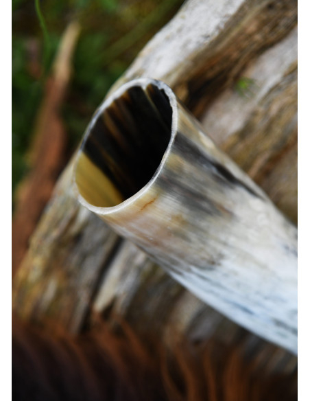 Corne à boire naturelle (400 ml.)