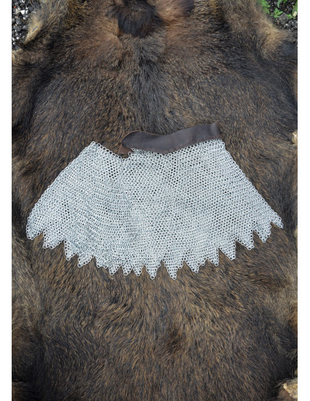 Anneaux galvanisés Alpartaz et bord...