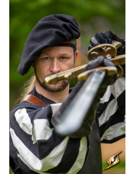 Parlota de ménestrel médiéval en...