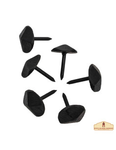 Lot de 6 clous en fer forgé finition noircie (2,5 cm.)
