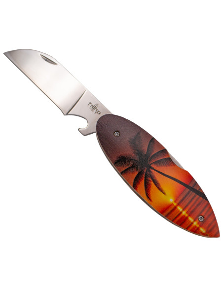 Troisième couteau de campagne modèle...