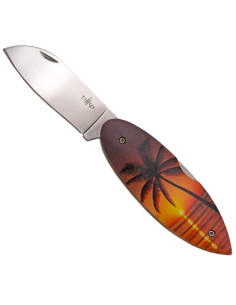 Troisième couteau de campagne modèle Palmera M2 (17,6 cm.)