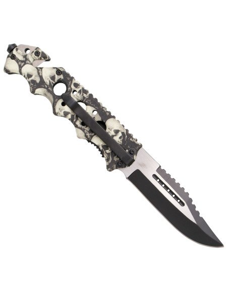 Troisième conception de crâne de...