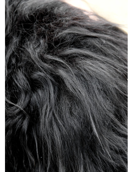 Épaulière Viking pour enfant en peau...