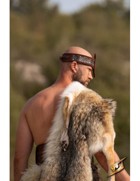 Bandeau de la Force, avec protection...