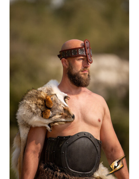 Bandeau de la Force, avec protection...