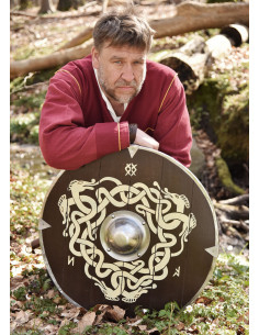 Bouclier anglo-saxon peint à la main avec serpent et... 2