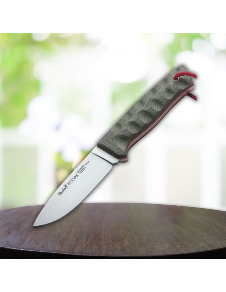 Couteau de sport Muela Kodiak, étui...