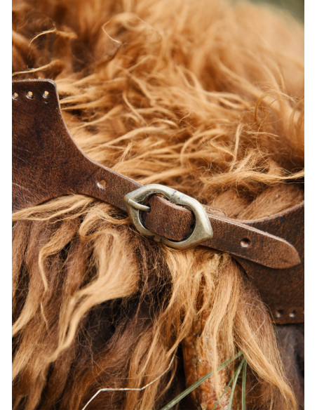 Fermeture de col avec boucle, couleur...