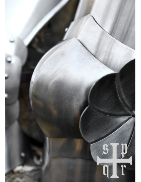 Protecteurs médiévaux en acier pour...