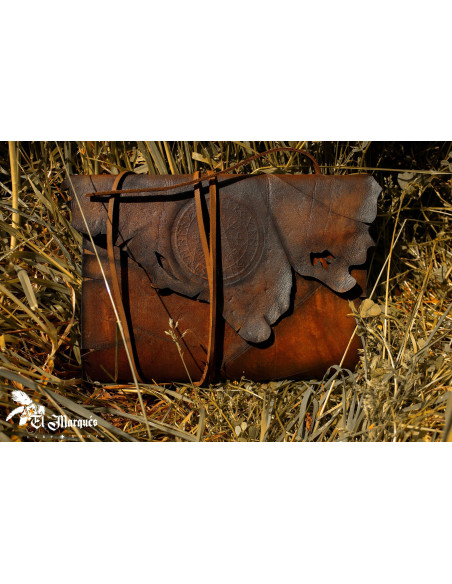 Livre barbare des Celtes en marron