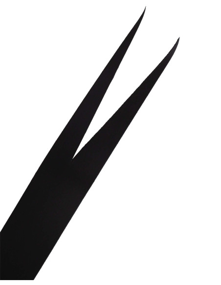 Ceinture Médiévale Galileo - Noir