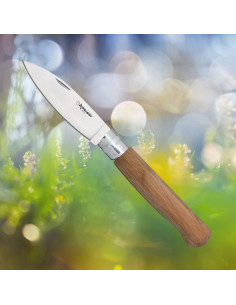 Couteau Extrême Cabritera Girolock (22,30 cm.)