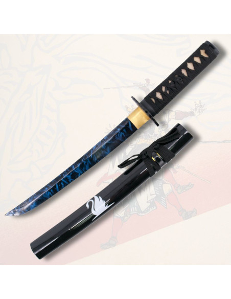 Tant fonctionnel fourreau noir décoré...