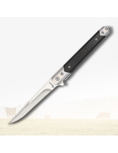 Couteau Albainox avec manche en stamina noir (21,2 cm.)