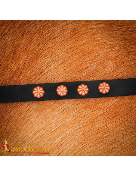 Pack de 5 décorations pour ceinture...