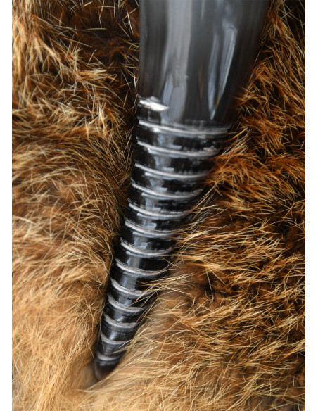 Corne viking avec design en spirale...