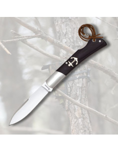 Couteau Albainox lame pointe épée, noir (18 cm.)