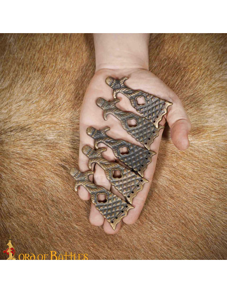 Pack de 5 pointes pour ceinture...