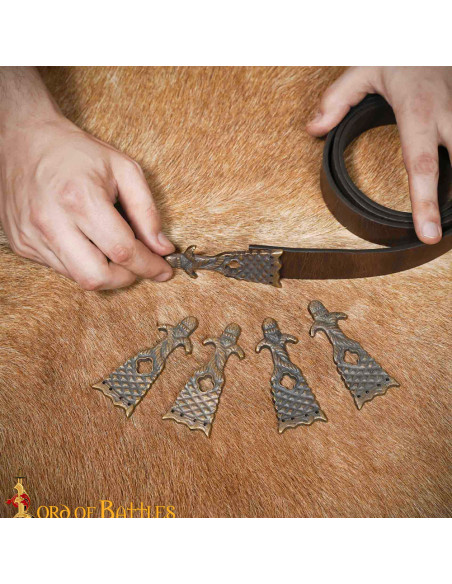 Pack de 5 pointes pour ceinture...